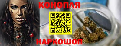 молекула духа Жуковский