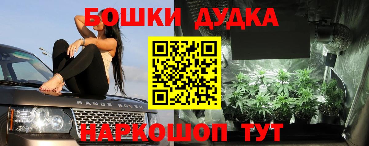 Бошки марихуана White Widow  Шишки марихуана Amnesia  МАРИХУАНА MAZAR  Вход с VPN  Новошахтинск 